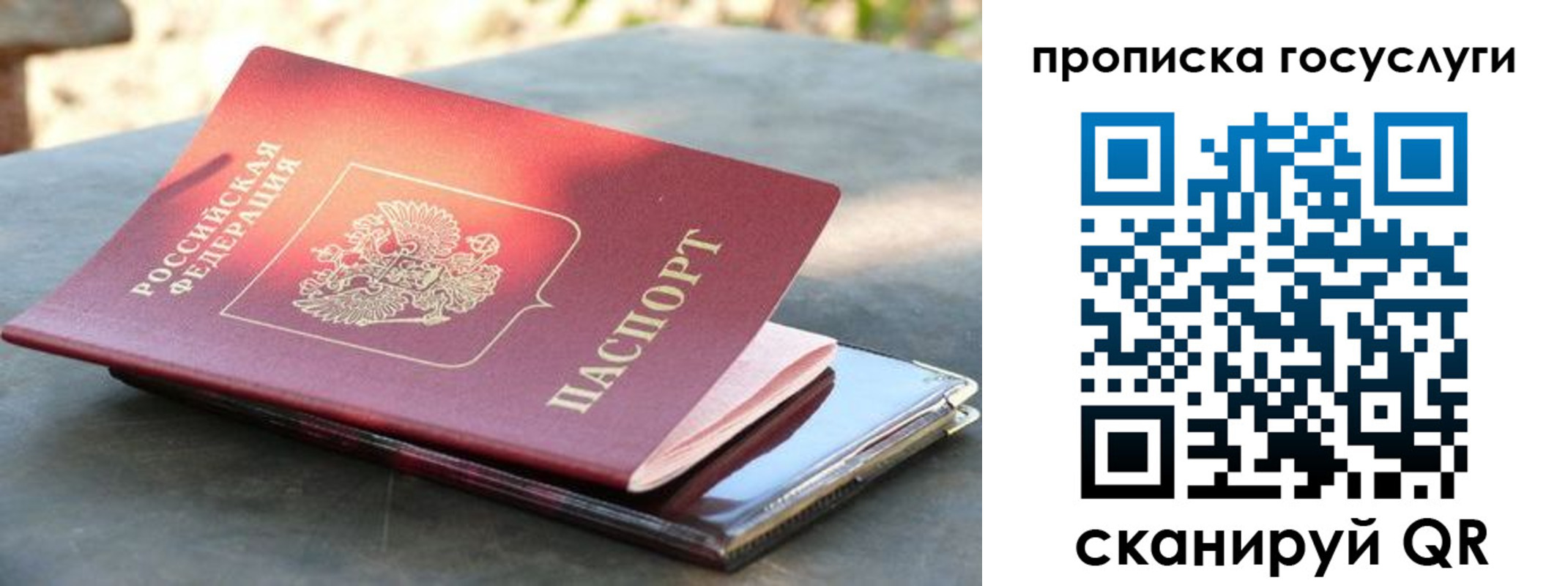миграционный учет в Кингисеппе